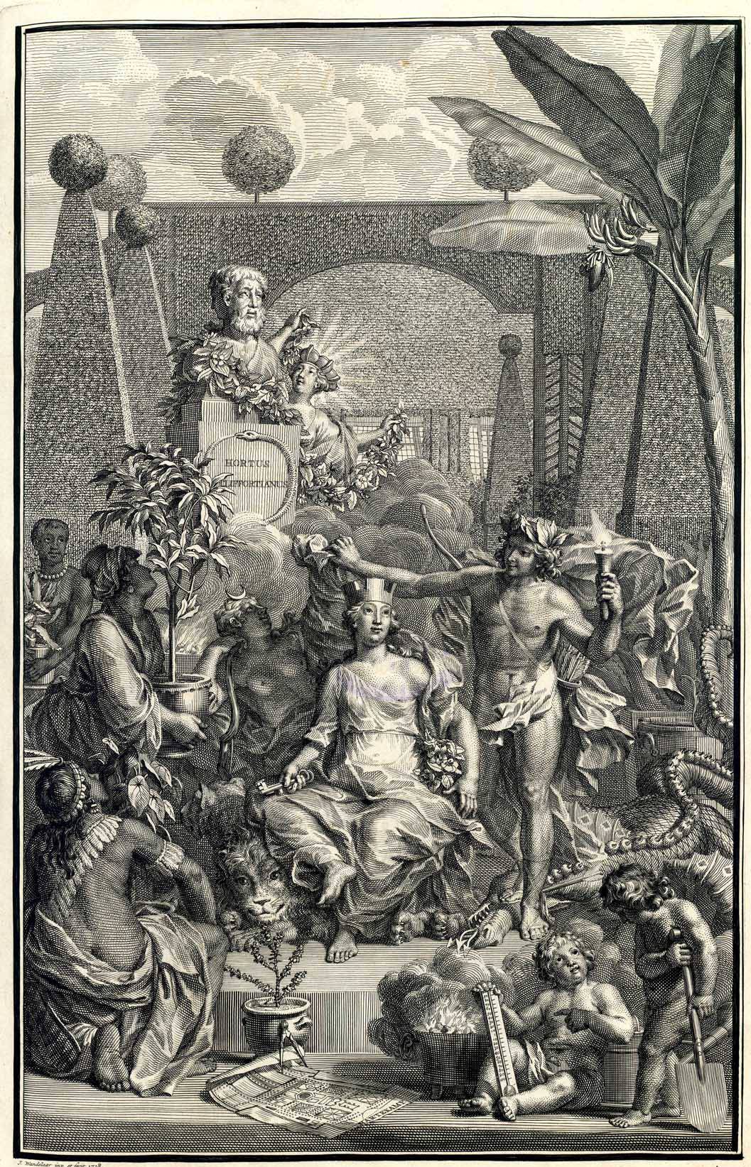 linnaeus_hortus_cliffortianus_frontispiece_cropped