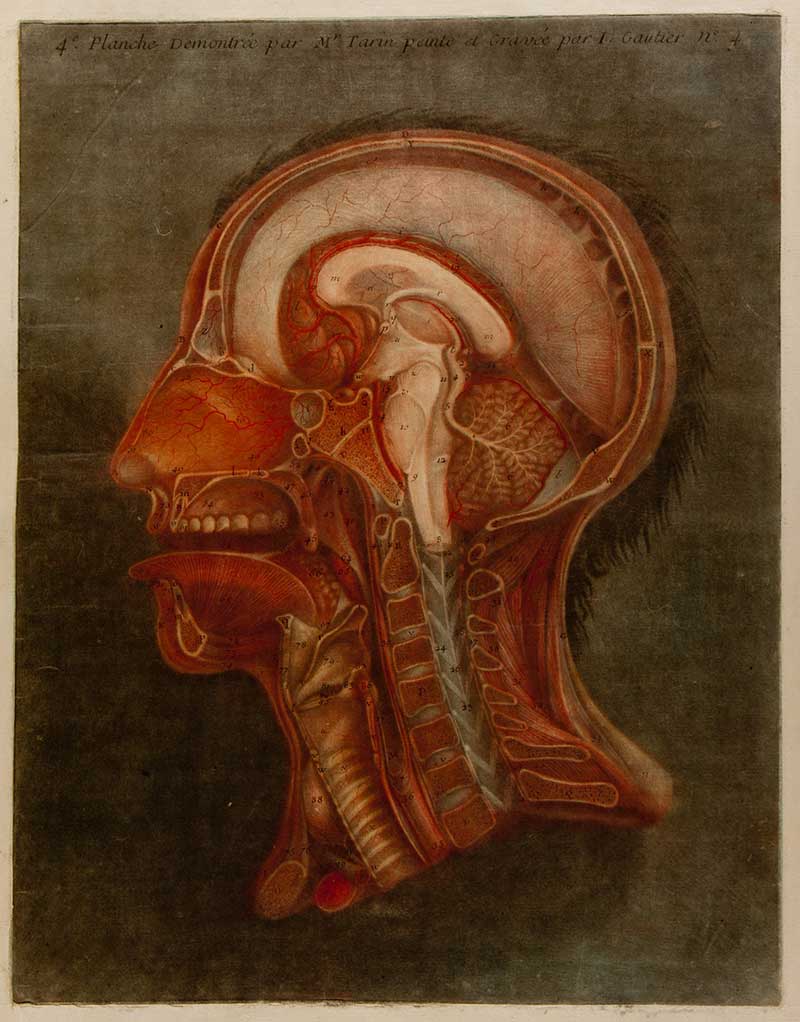 Médecine-40_004