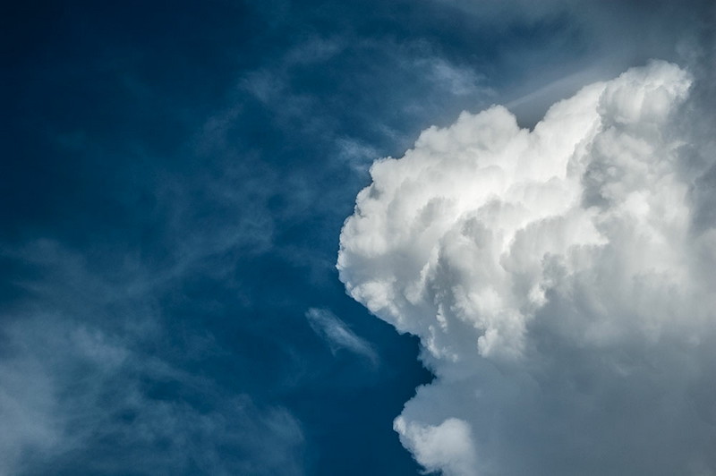 Shark Fish Clouds Shark Fish Cloud