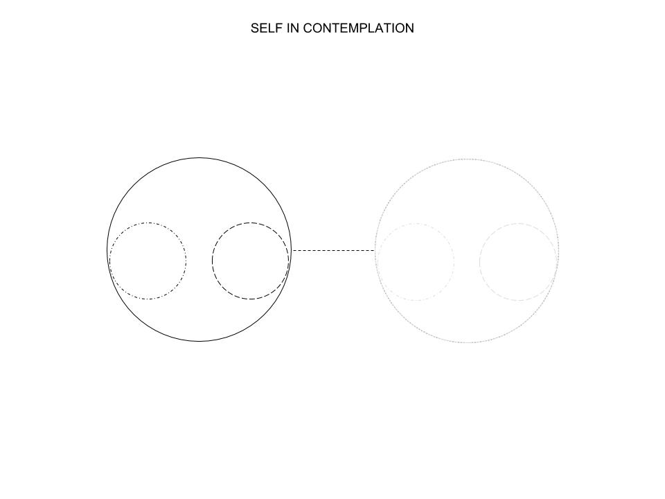 5-SelfInContemplation